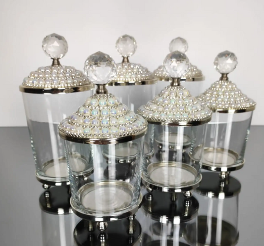 Silver and Pearl 6 PC Canisters Set Spices/Sugar/Creamer