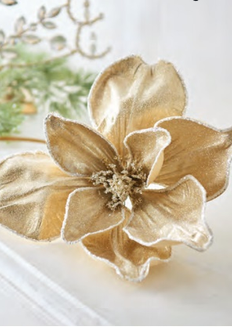 24" Iced Champagne Magnolia Stem