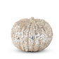 Champagne Glitter Sequence Pumpkin (2 Sizes)