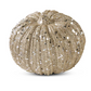 Champagne Glitter Sequence Pumpkin (2 Sizes)