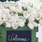 Real-Touch Tulip Bundle (White)