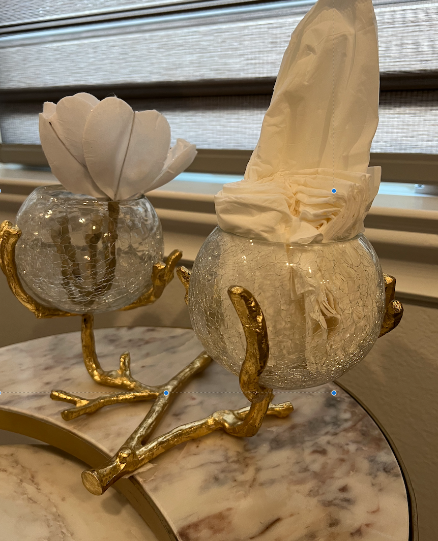 Large Gold Double Branch Vase/Tissue Holder